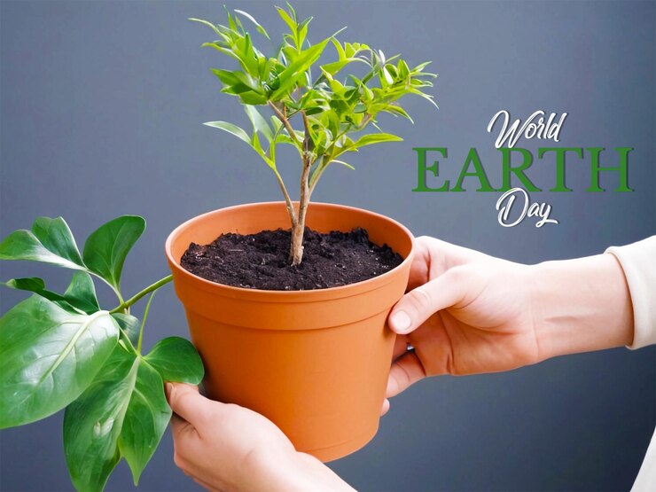 Journée mondiale de l'environnement avec des plantes qui poussent dans les mains
