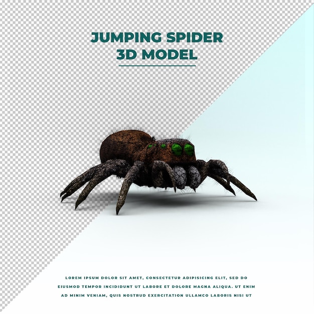 PSD jumping spider