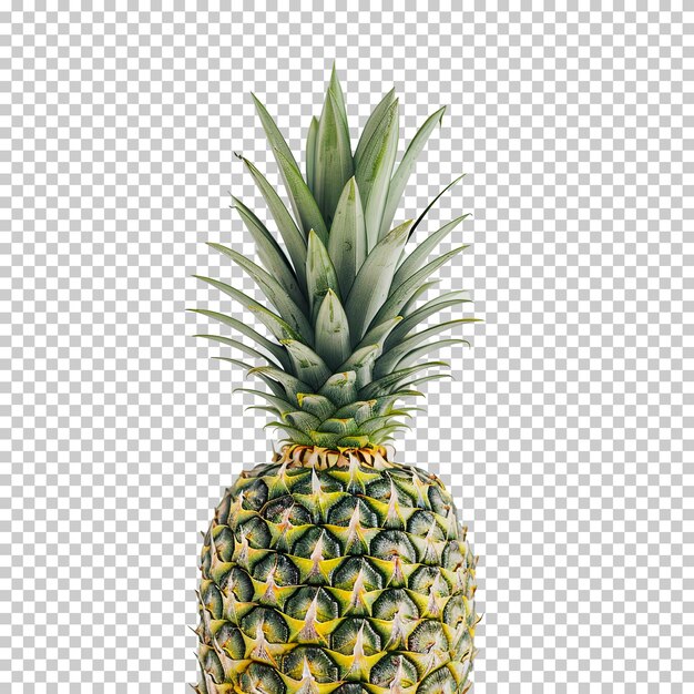 PSD le juteux tropical de l'ananas dévoilé