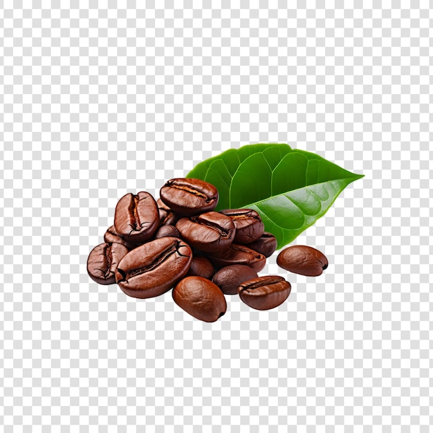 Kaffeebohnen mit grünen Blättern auf weißem Hintergrund