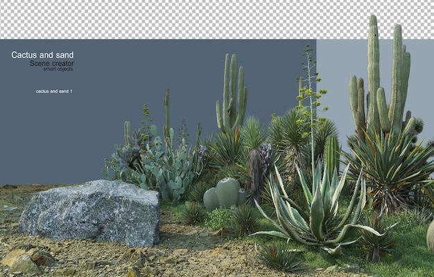 Kakteengarten auf Sand mit dekorativen Steinen