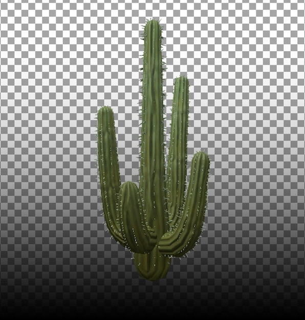 PSD kaktus 3d für psd-komposition gerendert