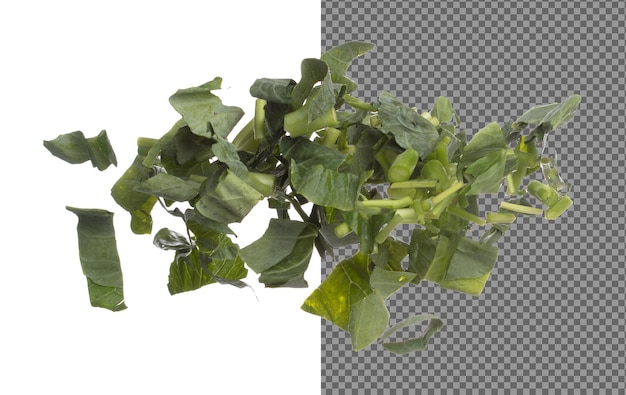 Kale fly en el aire verduras frescas verduras chinas chop chop rebanada verduras orgánicas frescas con hojas comidas de coles chinas montar de cerca textura fondo blanco movimiento de congelación aislado