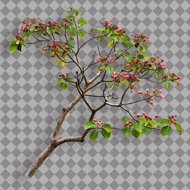 PSD kapok con rama recta alta cubierta de pequeña rama de árbol aislada de rojo a rosa en bg limpio