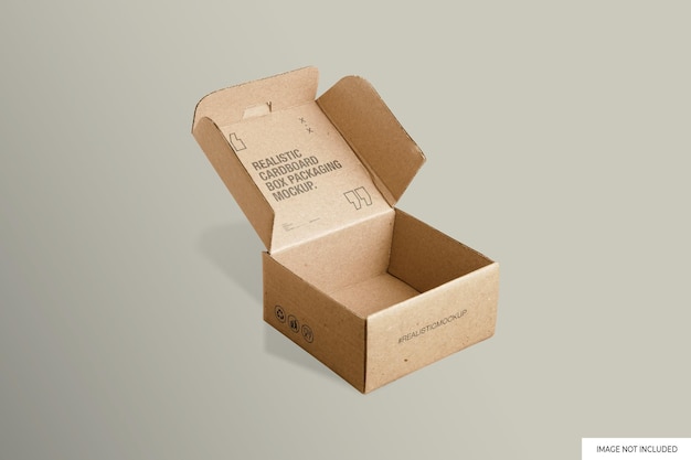 Kartonverpackung