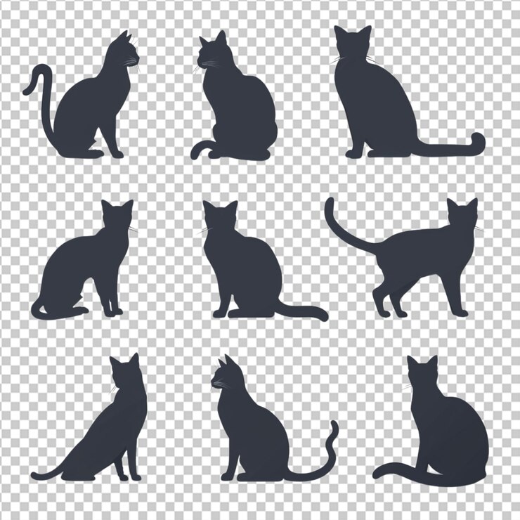PSD katze png