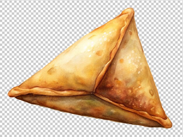 PSD keema samosa muy sabroso