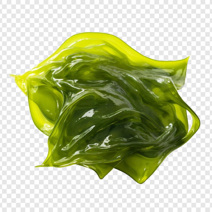 PSD el kelp aislado sobre un fondo transparente