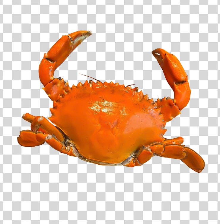PSD kepiting merah kukus dipisahkan dari latar belakang