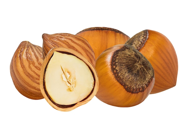 Kit Haselnussschale Ganzer Haselnuss Kern und Körnchen Tiefe des Feldes Isoliert auf einem leeren Hintergrund