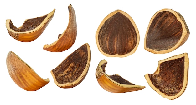 Kit hazelnut shells Depth of field Isolated On an empty background