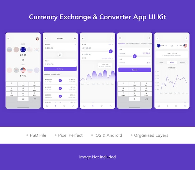 Kit d'interface utilisateur de l'application de conversion d'amplis de change
