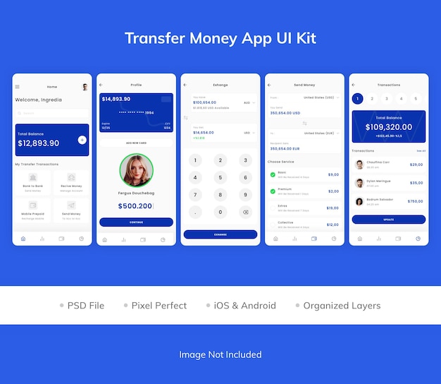 PSD kit d'interface utilisateur de l'application de transfert d'argent