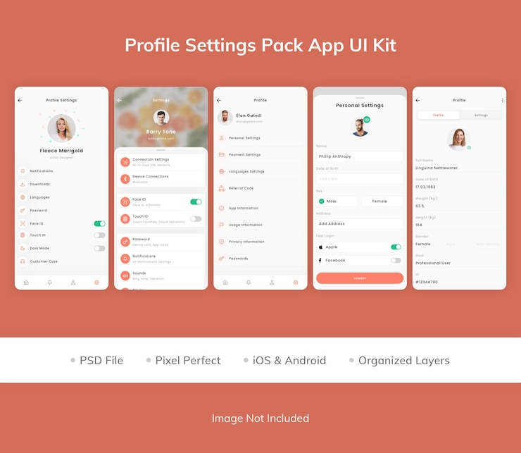 PSD kit d'interface utilisateur du pack de paramètres de profil