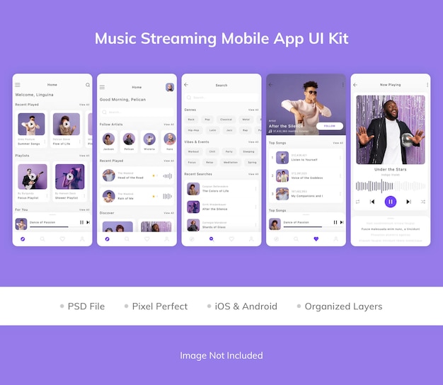 Kit d'interface utilisateur pour application mobile de diffusion de musique