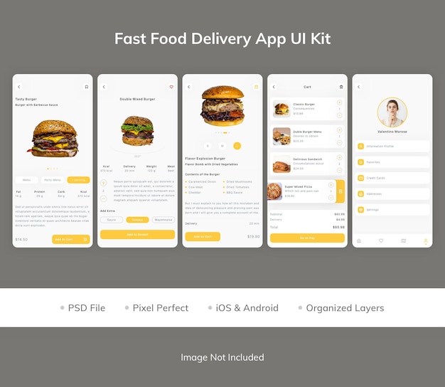 Kit de interfaz de usuario de la aplicación de entrega de comida rápida