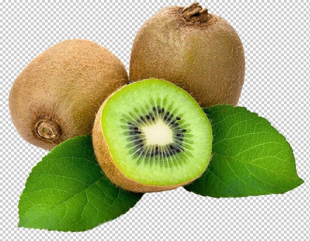 El kiwi png