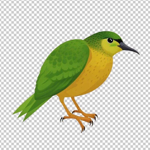 PSD kiwi-vogel