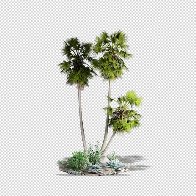 Kleine Palmenplantage