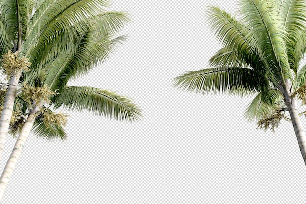 Kleine Palmenplantage