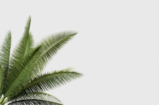 PSD kleine palmenplantage