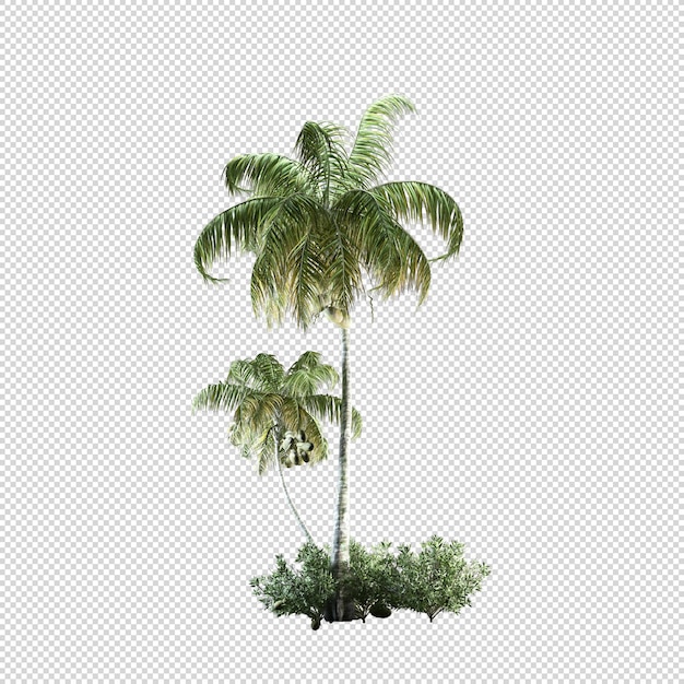 Kleine Palmenplantage