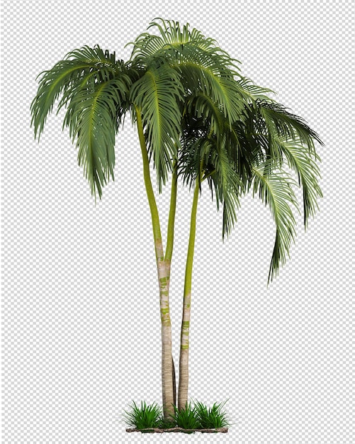 Kleine Palmenplantage