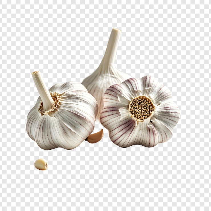 PSD knoblauch auf kariertem hintergrund mit weißem hintergrund