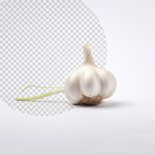 Knoblauch auf weißem hintergrund