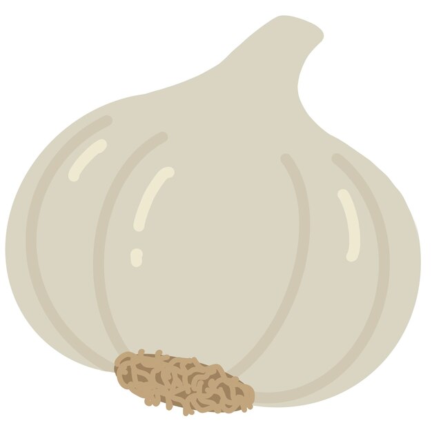 Knoblauch