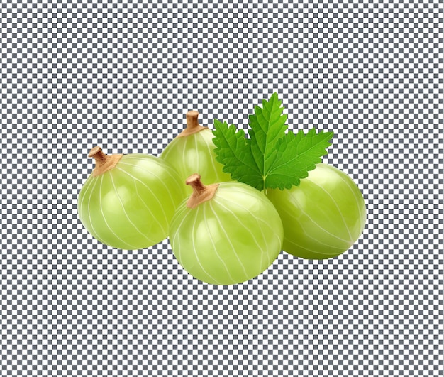 Köstliche Stachelbeeren auf durchsichtigem Hintergrund