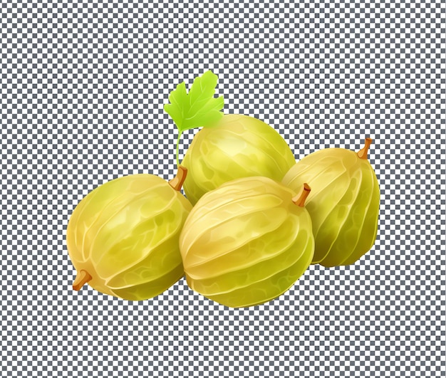 Köstliche Stachelbeeren auf durchsichtigem Hintergrund