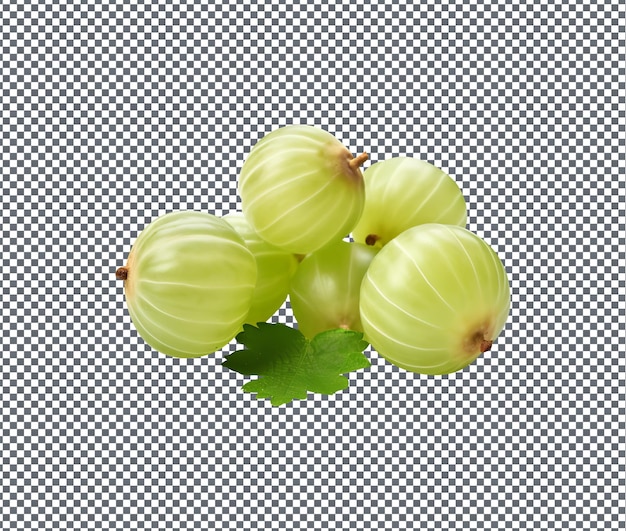 Köstliche Stachelbeeren auf durchsichtigem Hintergrund