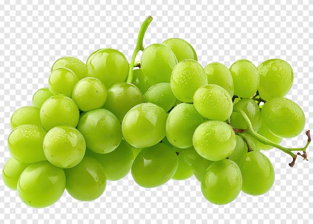 Köstliche und leckere grüne trauben, früchte