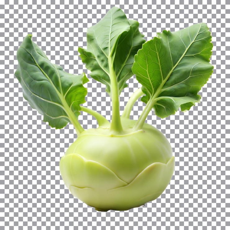 PSD kohlrabi fresco con hojas verdes unidas sobre un fondo transparente