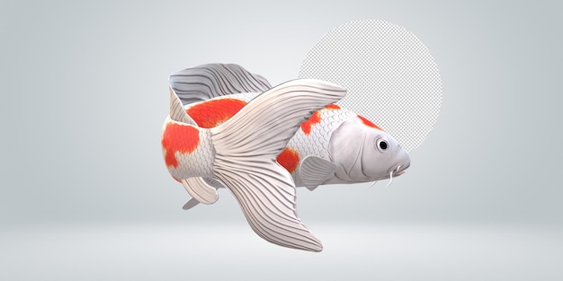 Koi Carp fish isolated on a Transparent Background