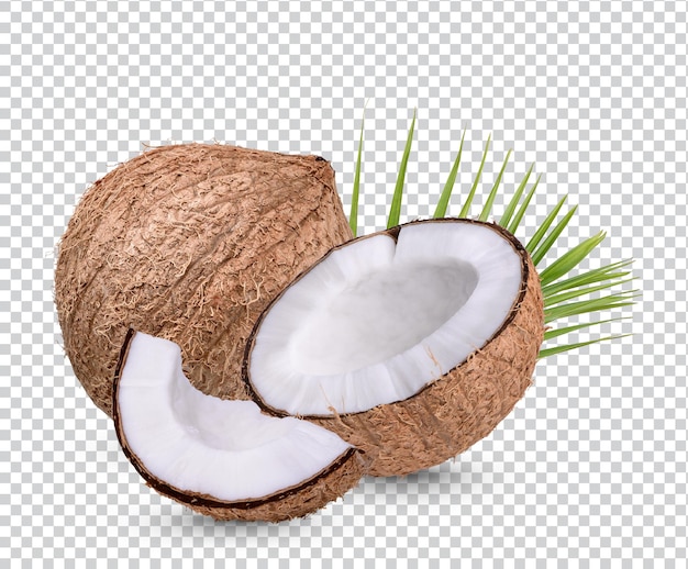 Kokosnuss mit Blättern Isoliert Premium PSD