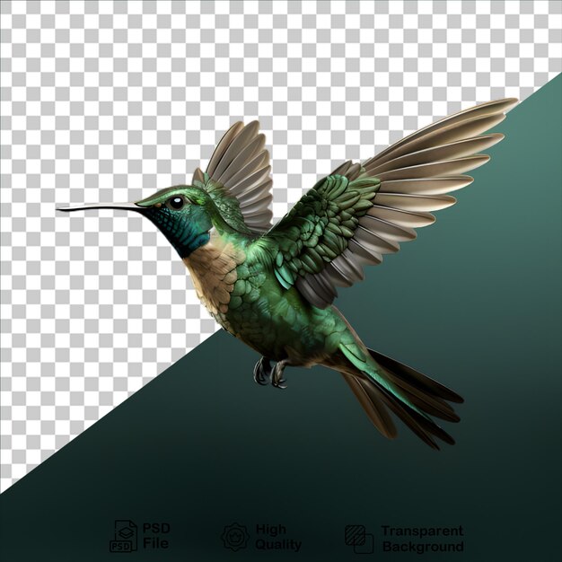 PSD kolibri isoliert auf durchsichtigem hintergrund png-datei enthalten