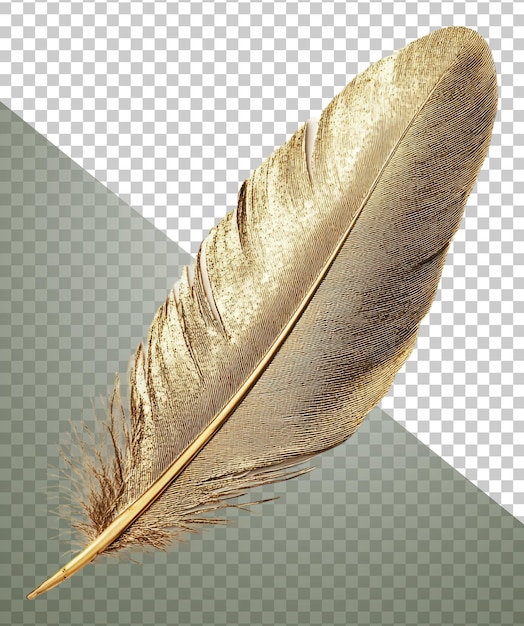 Komplizierte goldene Feder auf weißem Ausschnitt png