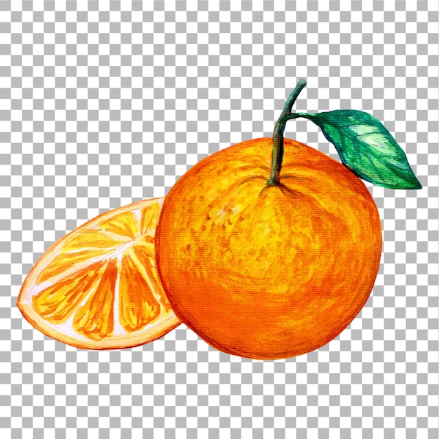 Konzept-Illustration von orange Hand zeichnen Wasserfarbe-Stil passend für Ihr Element-Projekt