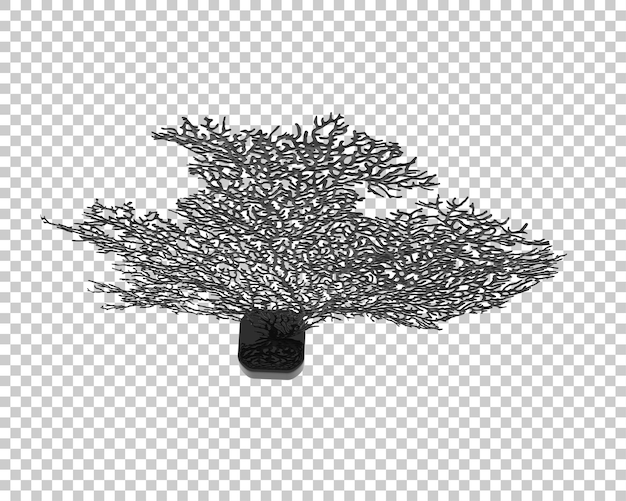 Korallenbaum isoliert auf durchsichtigem Hintergrund 3D-Rendering-Illustration