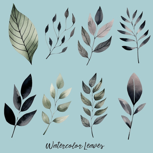 kostenlose PSD-Wasserfarben-Illustrationsblätter mit Zweigsatz