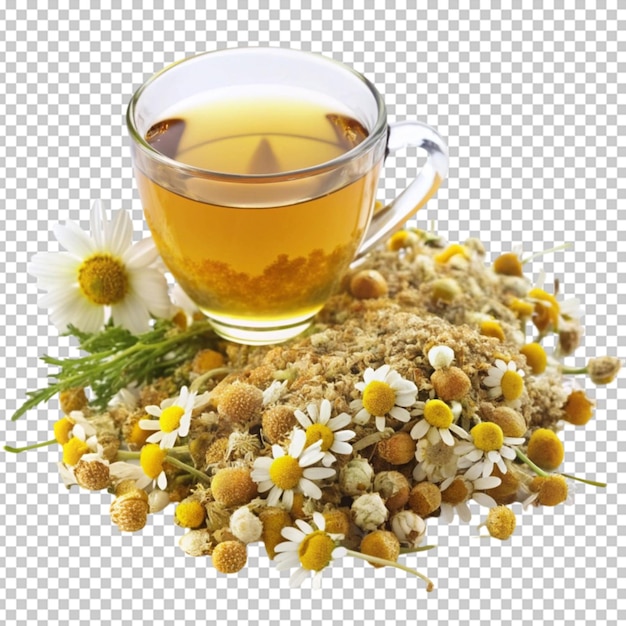 Kräutertee auf durchsichtigem Hintergrund