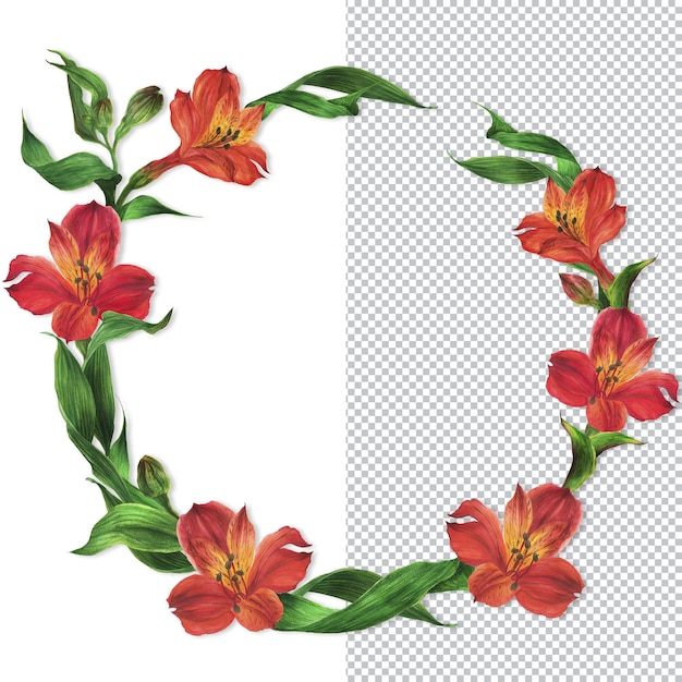 Kranzrahmen aus roten Alstroemeria-Lilien. Romantische Komposition für Hochzeiten und Valentinstag. Aquarellillustration, Rahmen für Glückwünsche und Einladungen