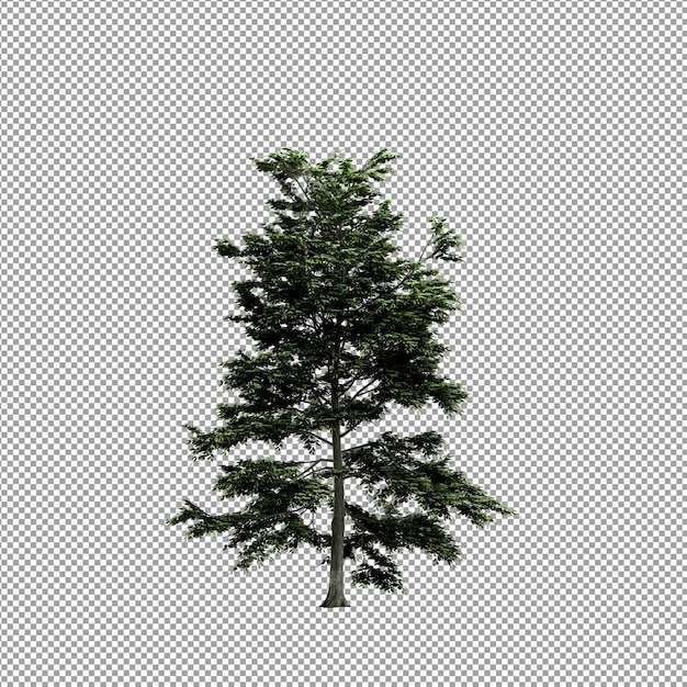 Krásná rostlina ve 3D renderování izolovaná