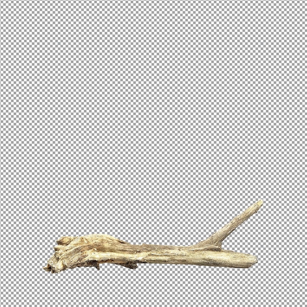 Krásná rostlina ve 3D renderování izolovaná