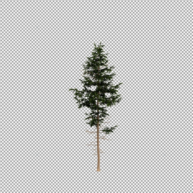 Krásná rostlina ve 3D renderování izolovaná