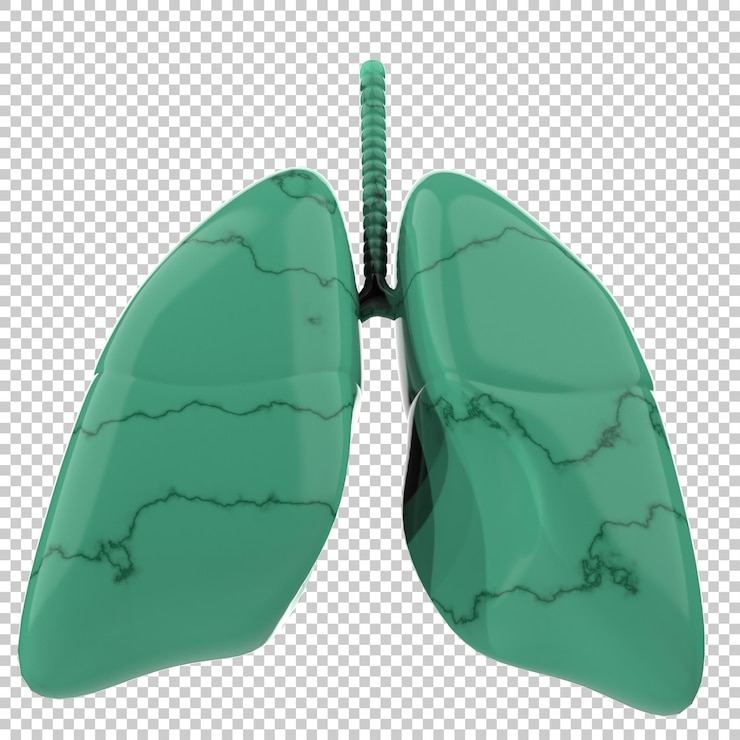 PSD künstlerische menschliche lungen, isoliert auf durchsichtigem hintergrund 3d-rendering-illustration