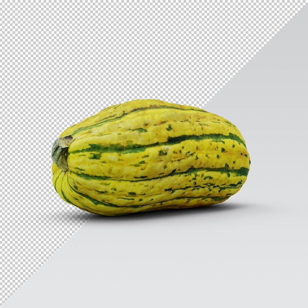 Kürbis delicata squash isoliert