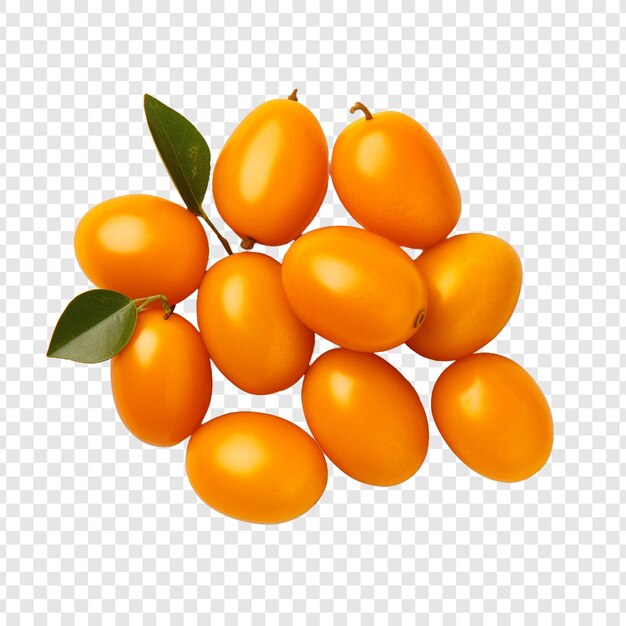 PSD kumquats isolés sur un fond transparent